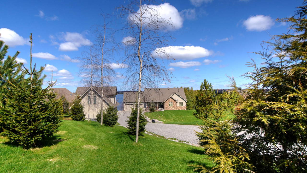 Tree lined drive