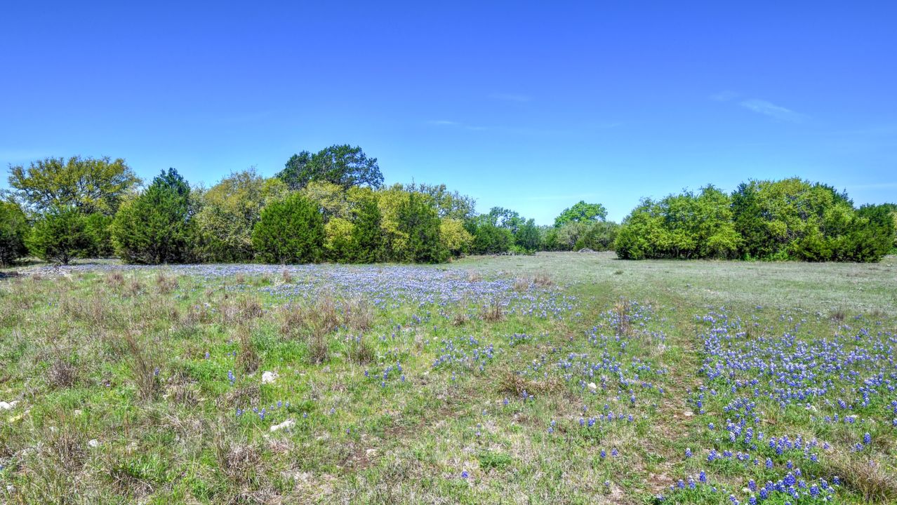 TBD CR 225, Lampasas, TX, 76539 Scene 2