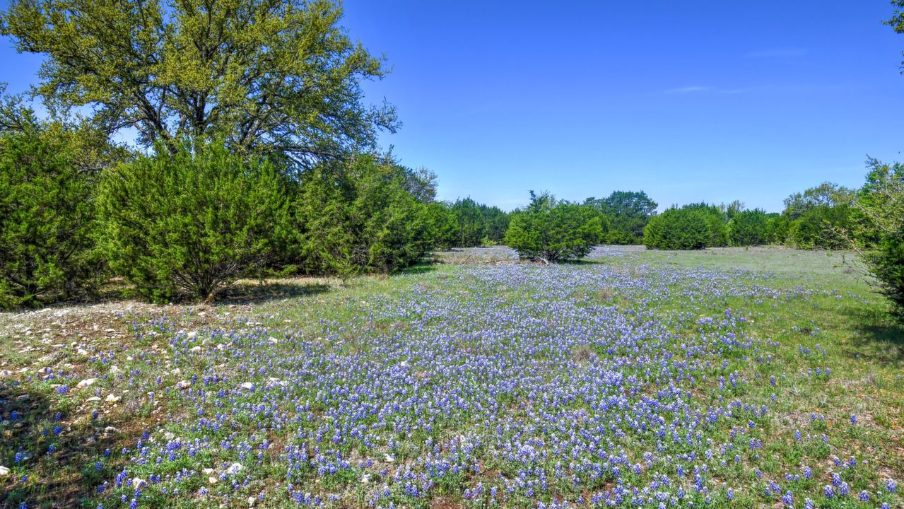 TBD CR 225, Lampasas, TX, 76539 Scene 4