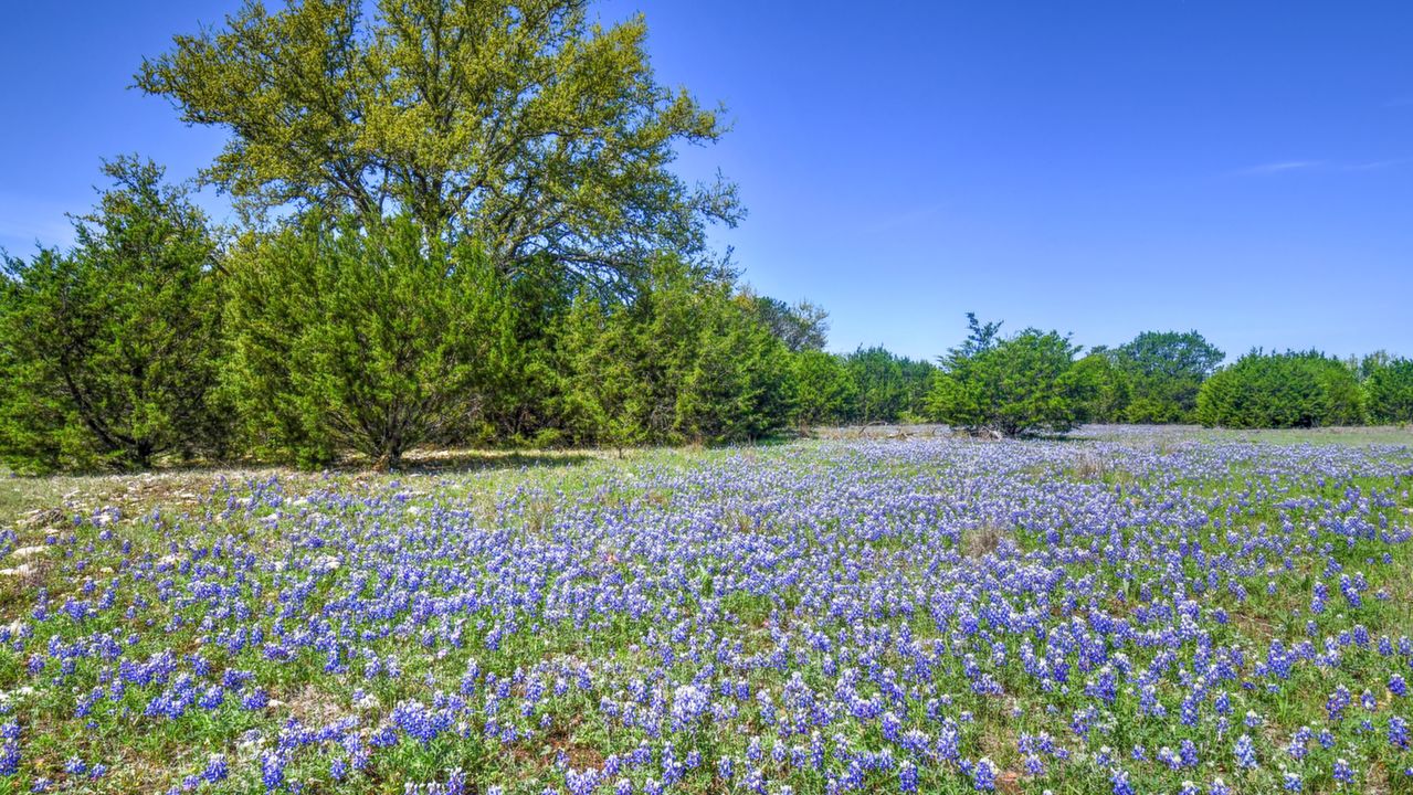 TBD CR 225, Lampasas, TX, 76539 Scene 1